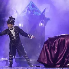 Иллюзионное шоу Джонни Даггз