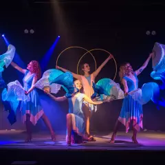 Танцевальное шоу мажореток