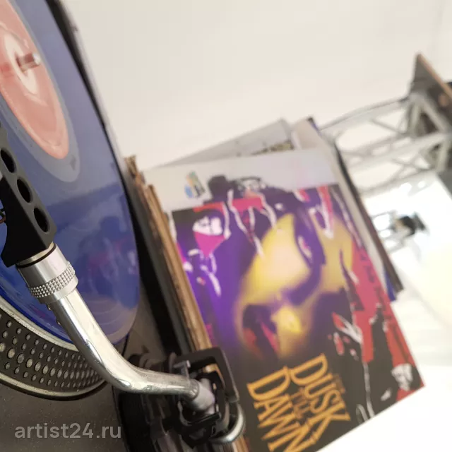 Диджей Дмитрий Буркалов (Dj DimaVinill) — шоу-программа, фото 4