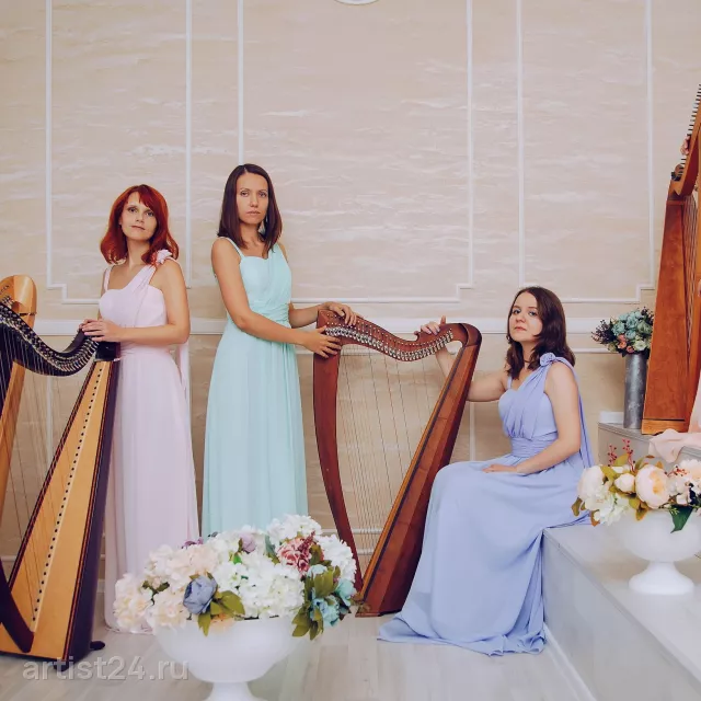 Moscow Harp Orchestra — музыкант, фото 2
