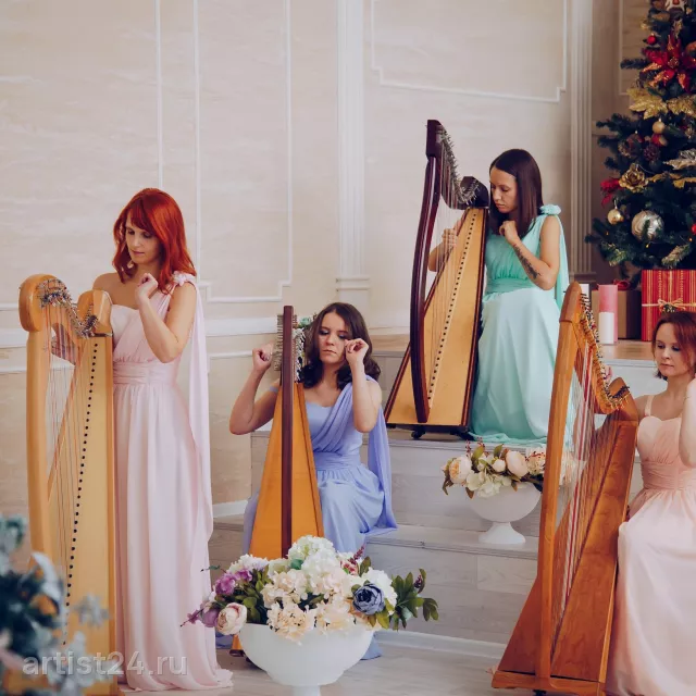 Moscow Harp Orchestra — музыкант, фото 3