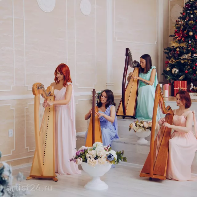 Moscow Harp Orchestra — музыкант, фото 5