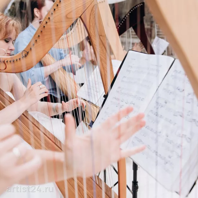 Moscow Harp Orchestra — музыкант, фото 8