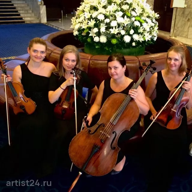 Струнный квартет «Виват» — скрипач, фото 3