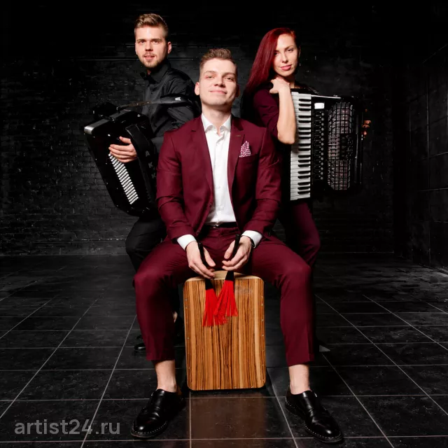 Инструментальная группа «Moscow Night Group» — музыкант