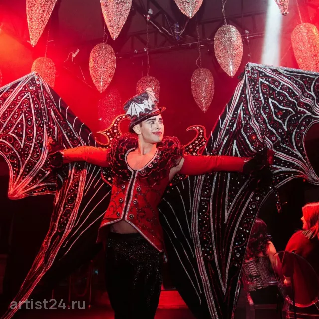 Veden'ev Show — шоу-программа, фото 2