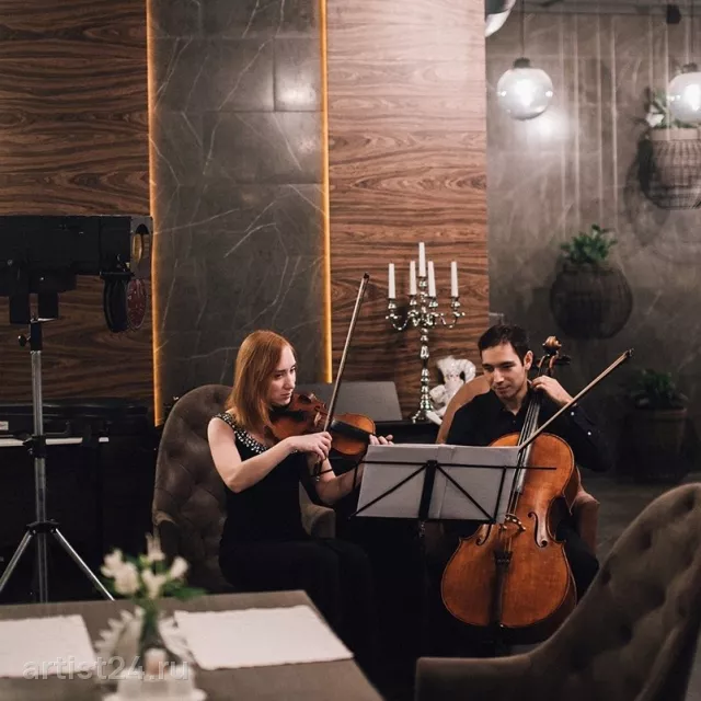 Дуэт ViolinCello — скрипач