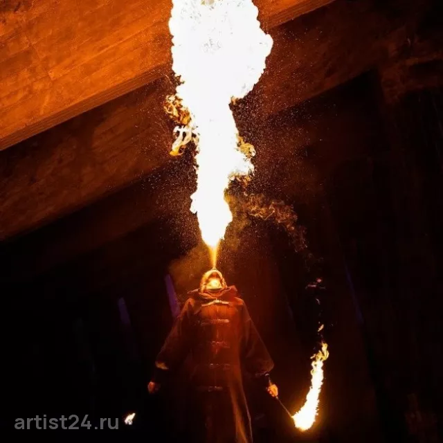 Огненное шоу Art Lab VESP — световое шоу, фото 8