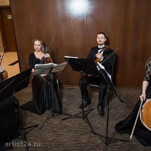 Струнный квартет Buena Musica — скрипач, фото 4