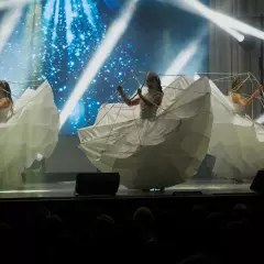 Шоу-балет Шик