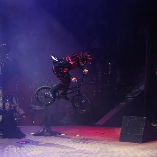 BMX-шоу Максима Голдобина — цирковой артист, фото 7