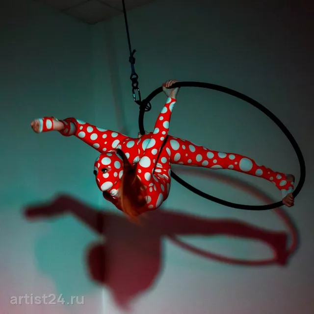 Воздушное шоу ms.Twinkle — цирковой артист, фото 5
