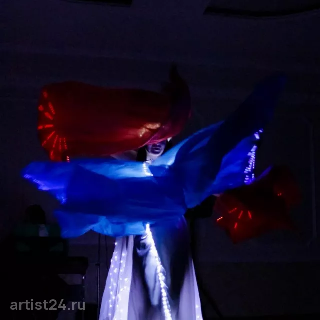 Огненное шоу Flagro — световое шоу, фото 7