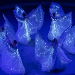 Шоу-балет Созвездие