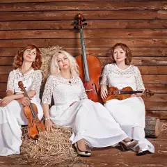 Струнное кавер-трио FRESH
