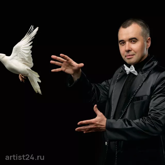 Иллюзионист Дамир Стоун — фокусник