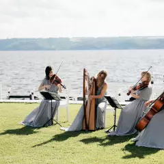 Скрипичное шоу Renaissance