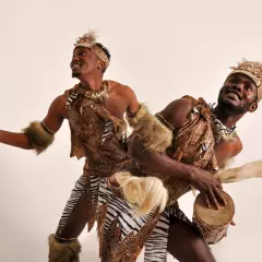 Африканское шоу Afro Musica Show