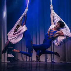 Цирковое шоу ShowArt Saratov