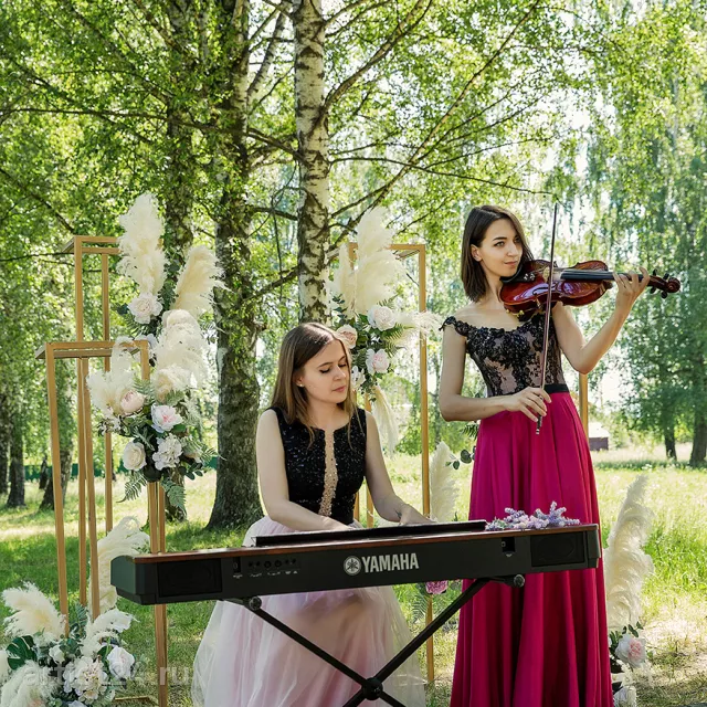 Дуэт Наедине (скрипка и фортепиано) — скрипач, фото 7