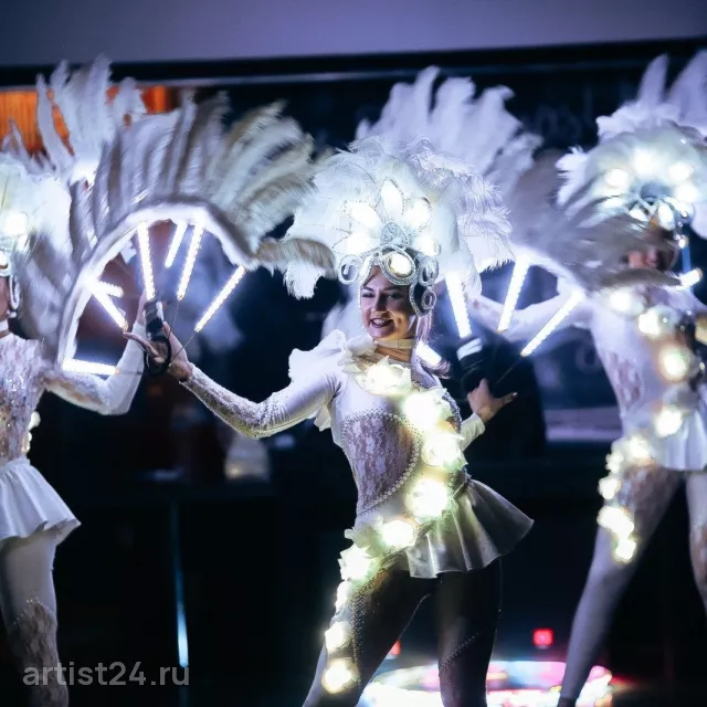 Световое шоу Fata Morgana Show — световое шоу