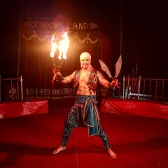 Цирковое шоу Tortuga Show