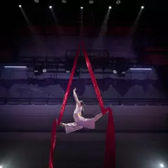 Воздушная гимнастка Анна Бутурлинова
