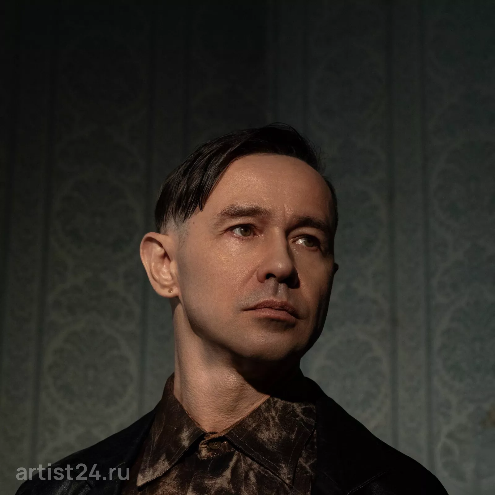 Дельфин — звезда эстрады
