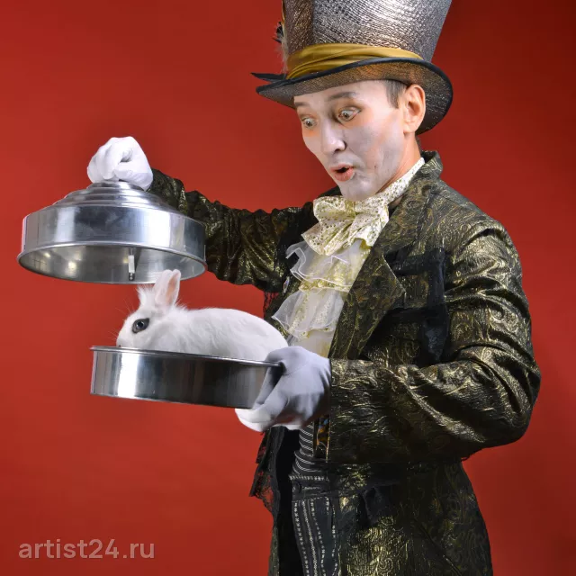 Профессиональное цирковое шоу — цирковой артист, фото 4