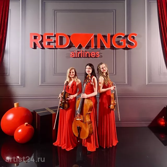 Струнное трио GRITS MUSIC — скрипач, фото 2