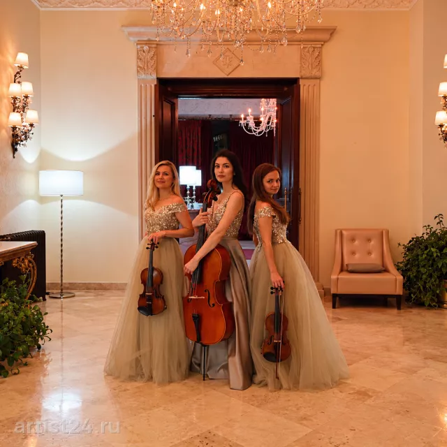 Струнное трио GRITS MUSIC — скрипач, фото 7