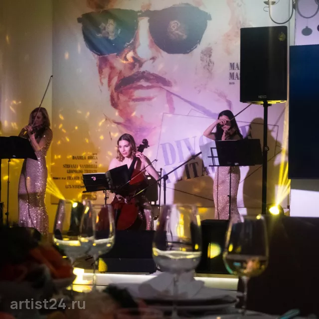 Струнное трио GRITS MUSIC — скрипач, фото 8