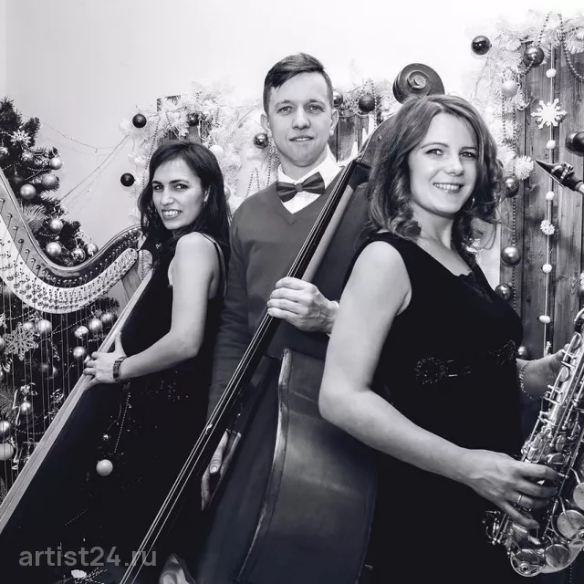 Инструментальный ансамбль Mellow Jazz — джаз-бэнд, фото 2