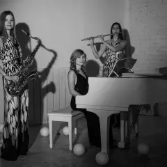 Группа «Skyfall cover band»
