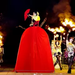 Шоу-проект Fire Style