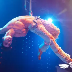 Акробатическое шоу «FLY»