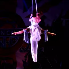 Воздушный дуэт «lePapillon»
