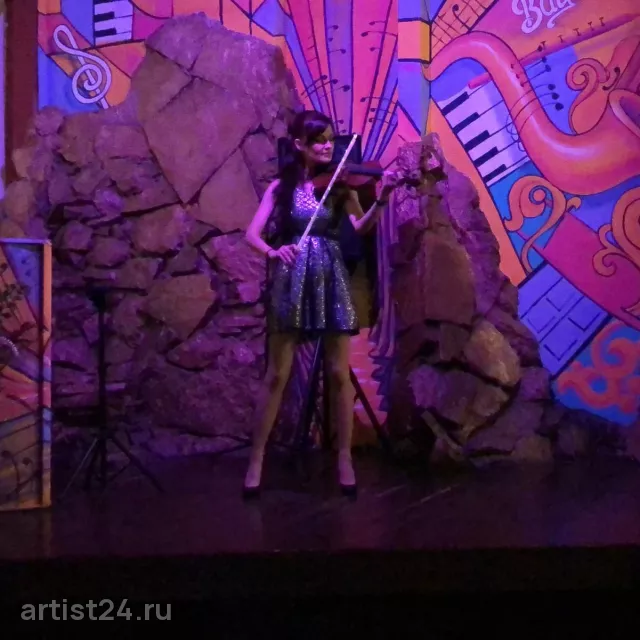 Скрипачка Dia ViolinA — скрипач, фото 5