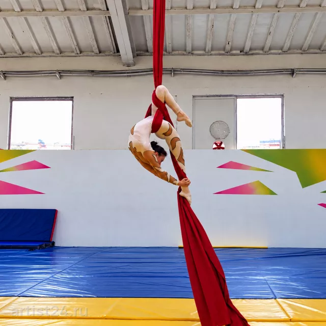 Акробатический дуэт «Twist» — цирковой артист, фото 9