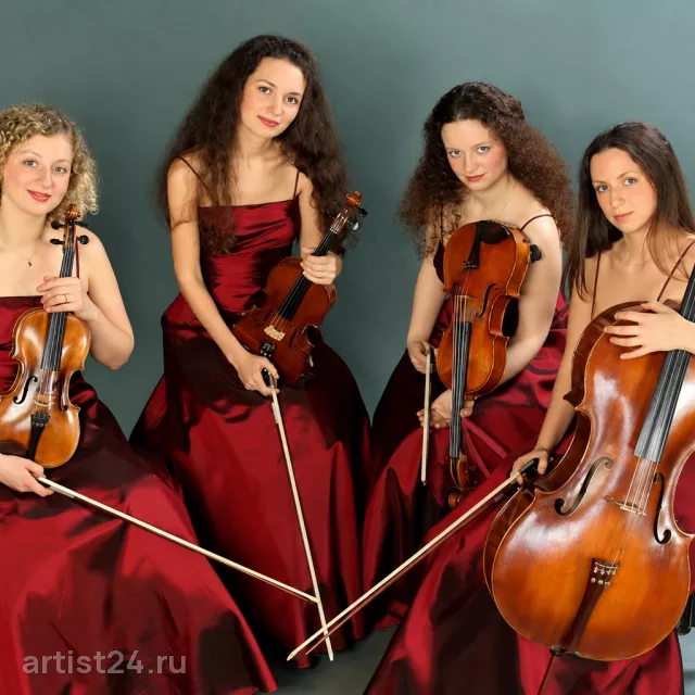 Струнный квартет «Primavera» — скрипач