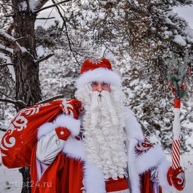 Дед Мороз Нижний Новгород (dedmoroz_nnovgorod) — Дед Мороз, фото 2