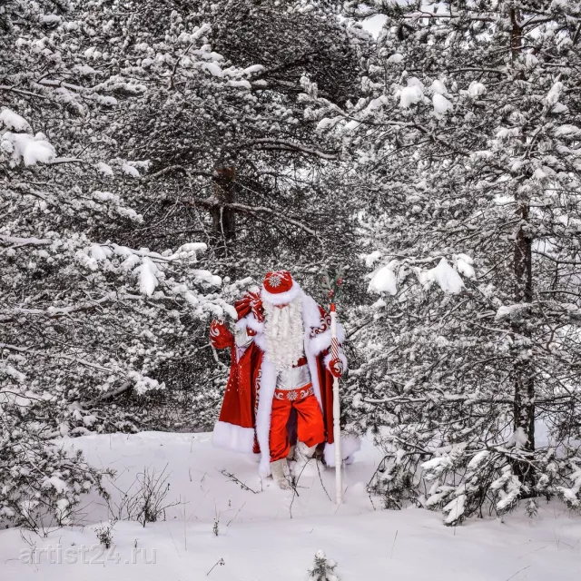 Дед Мороз Нижний Новгород (dedmoroz_nnovgorod) — Дед Мороз, фото 6