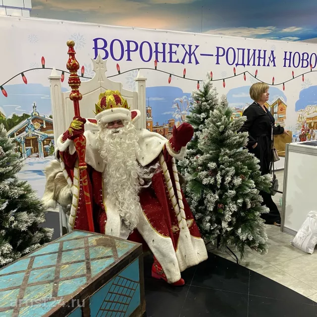 Дед Мороз Воронежский — Дед Мороз