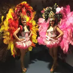 Шоу-балет Samba's Queen