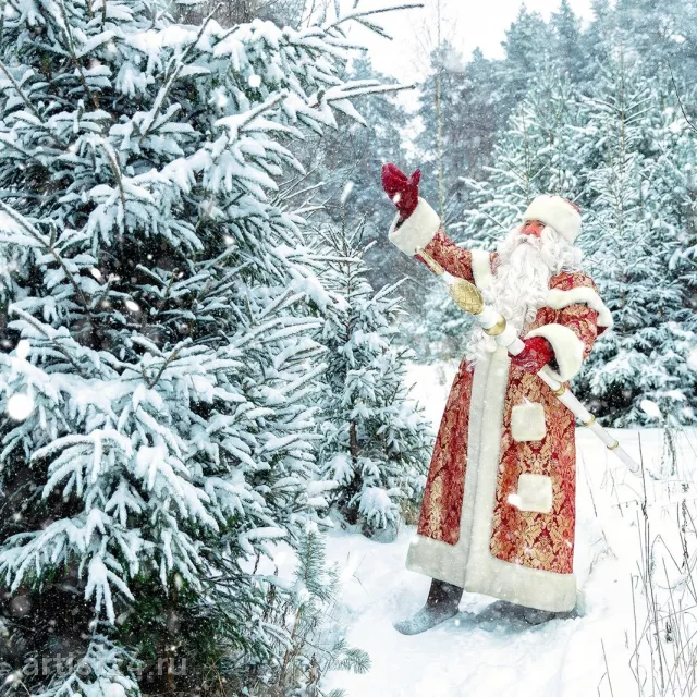 Дед Мороз и Снегурочка Вологда (dedmoroz_vol) — Дед Мороз, фото 6