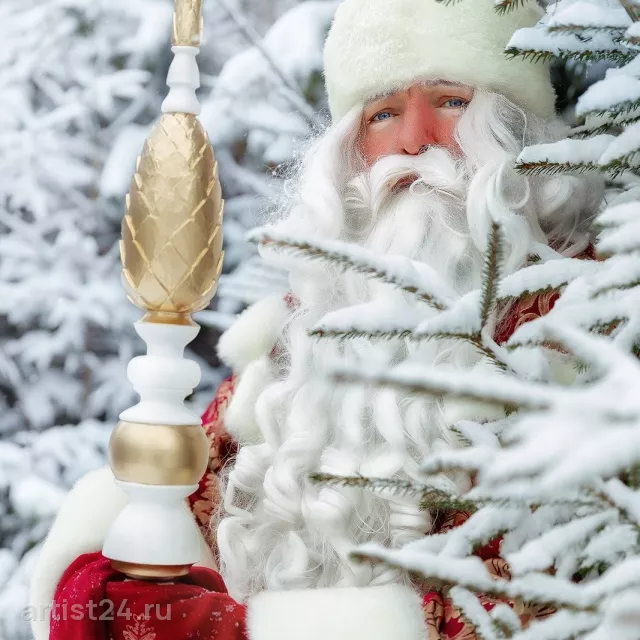 Дед Мороз и Снегурочка Вологда (dedmoroz_vol) — Дед Мороз, фото 7