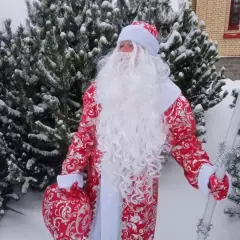 Дед Мороз Петрозаводск (dedchilit)