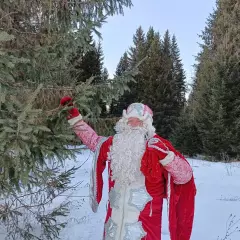 Дед Мороз Вологда (zvetik35)