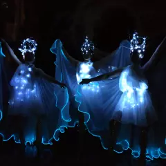 Шоу-балет Лавина