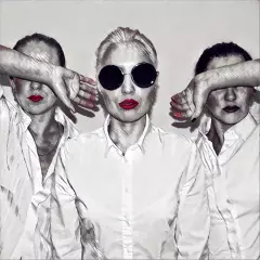 Шоу-балет Royal Fox